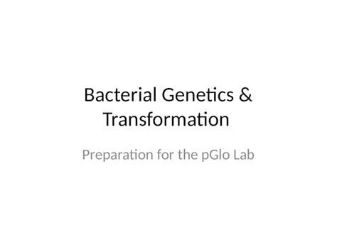 PPTX Bacterial Genetics Transformation Preparation For The PGlo Lab