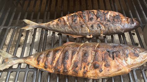 Grilled Fish Recipe Inihaw Na Isda Japanese Amberjack Tambakol Youtube