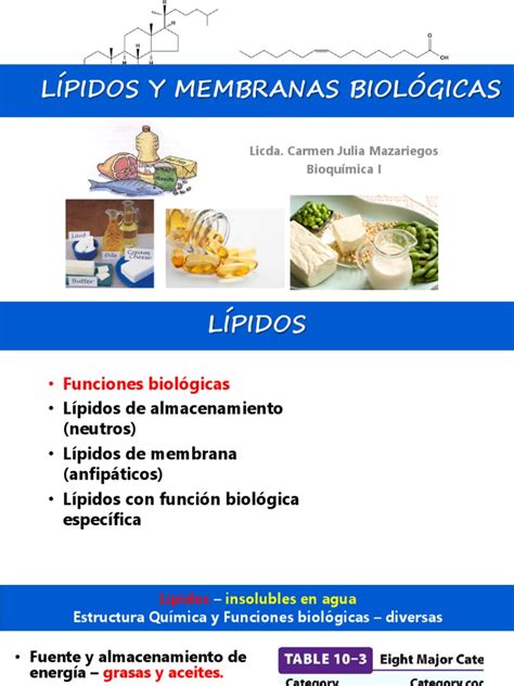 Pdf L Pidos Y Membranas Biol Gicas Dokumen Tips