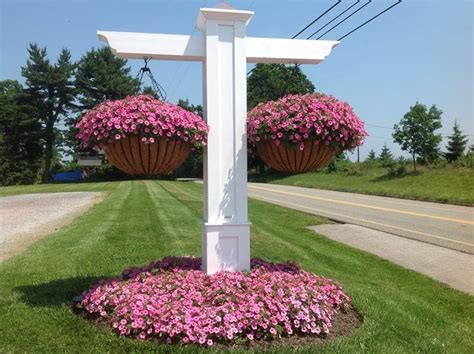 Planting Pride with America in Bloom: Best Petunias for Hanging Baskets?