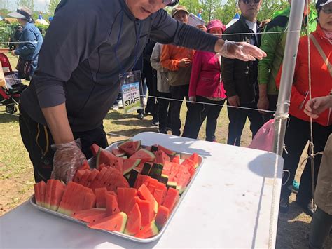 포토뉴스 함안수박 시식 행사 달고 맛있는 대한민국 대표 수박 무료 뉴스테이지