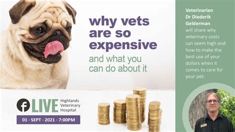 Why Are Vets So Expensive And What You Can Do About It Highlands