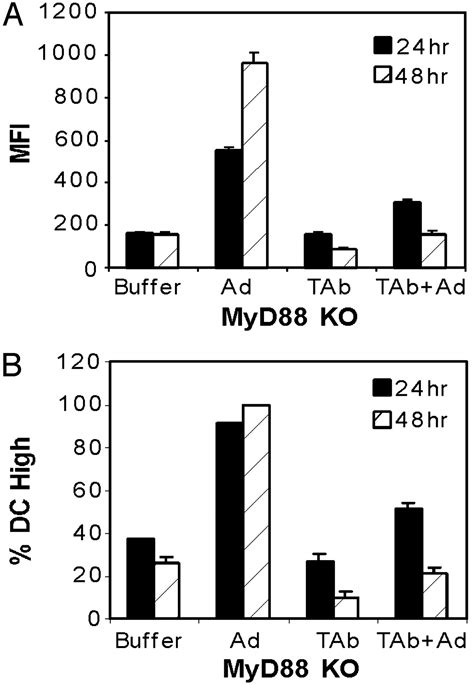 Adenovirus Induced Maturation Of Dendritic Cells Through A Pi3 Kinase