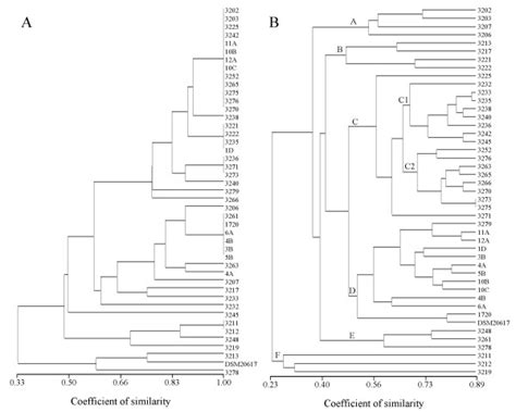 Similarity Upgma Trees Of Box Pcr Patterns A And F Box Pcr Patterns