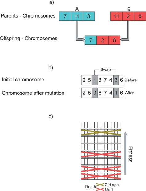 Genetic Algorithms Operations A Crossover B Mutation And C Death