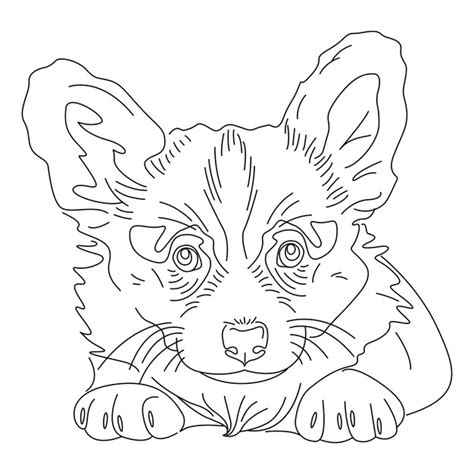 Premium Vector | Outline drawing of corgi puppy dog illustration