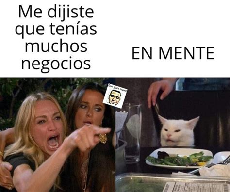 Este Meme Se Hace Viral La Mujer Y El Gato Colombia Noti America