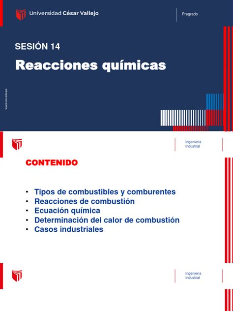 Sesión 14 Reacciones Químicas Descargar Gratis Pdf Combustión Entalpía