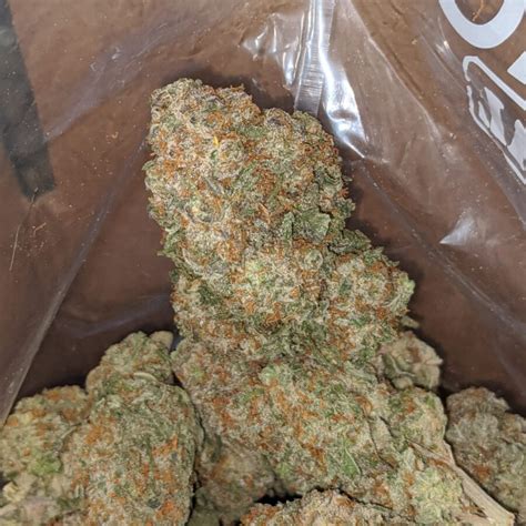 Buy Bulk Alaskan Thunderfuck Strain Cheap Weed Pounds Reviews