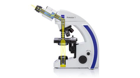 Primostar 1 Digital Microscope ZEISS Best Price In Bangladesh