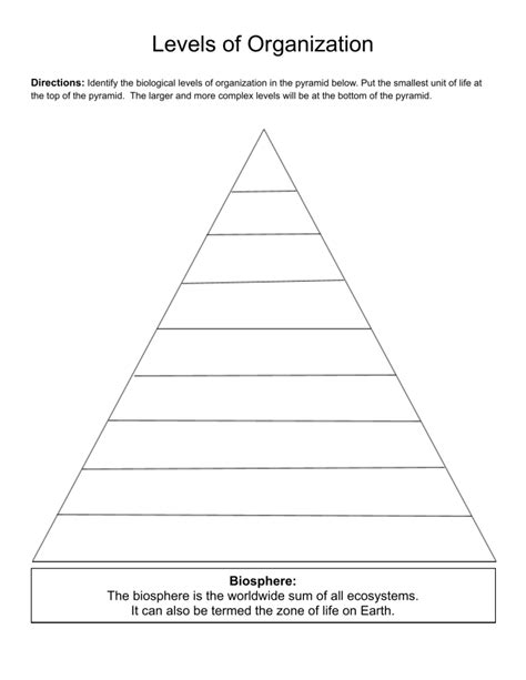 Levels Of Organization