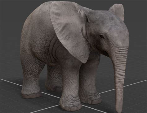 Baby Elephant 3d Model Cgtrader