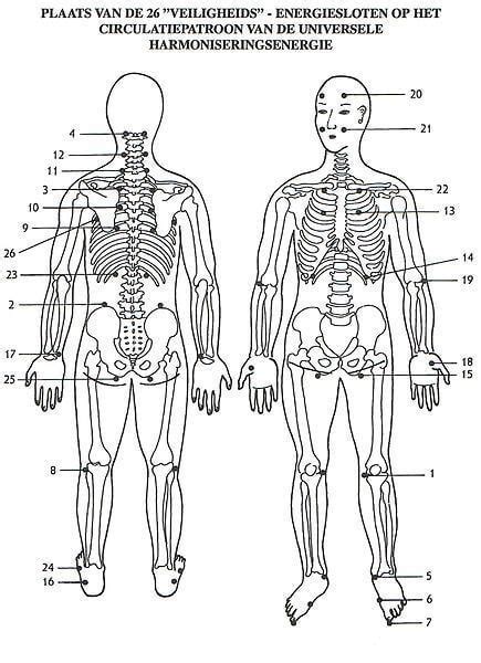 Jin Shin Jyutsu Chart Jin Shin Jyutsu Exercises For Self Help