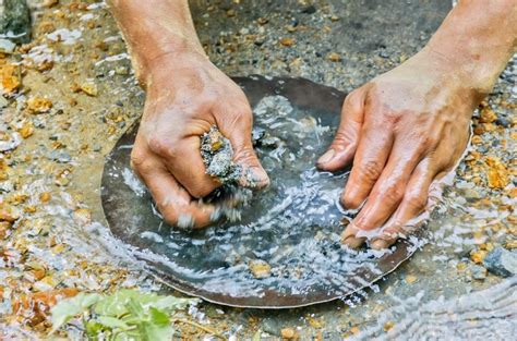 Know Your Gold Panning Strategy Roaring Camp GoldRoaring Camp Gold