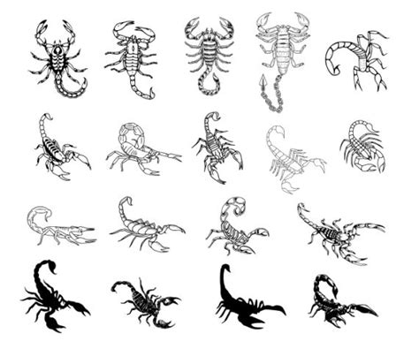 Scorpion Tattoo Set Vector (EPS, SVG) | OnlyGFX.com