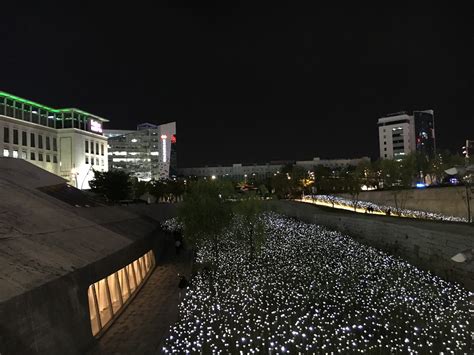 Dongdaemun Design Plaza Led Rose - Seoul, South Korea - Travel is my ...