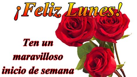 Buenos D As Feliz Lunes E Inicio De Semana Ten Un Maravilloso Inicio