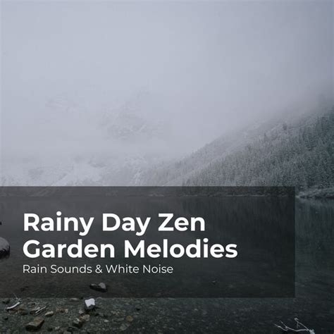 Rainy Day Zen Garden Melodies Various Composers By Rain Sounds And White