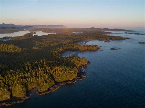 EPIC VANCOUVER ISLAND ROAD TRIP ITINERARY - Wild About BC