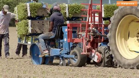 Tabacco intesa Coldiretti Philip Morris per la sostenibilità Video