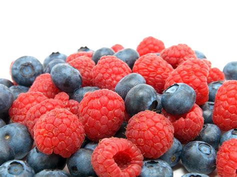 Blaubeere Und Himbeeren Stockfoto Bild Von Essen Nahaufnahme 13076732