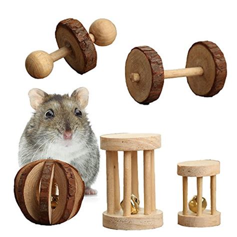 Best Hamster Toys That Your Pet Will Love Little Furry Pets