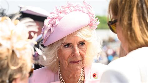 Camilla In Rosa Al D Day Perch La Sovrana Ha Scelto Questo Colore Per