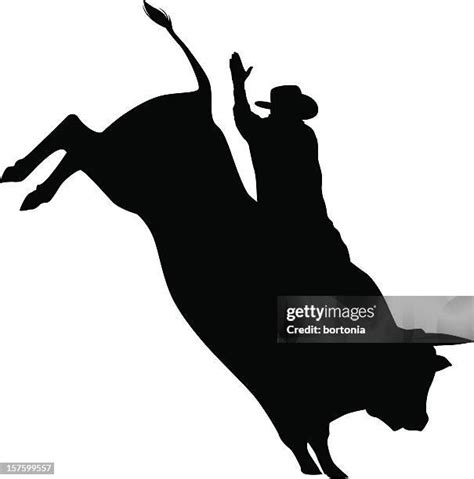 71 Bull Riding Silhouette Stock Photos, High-Res Pictures, and Images - Getty Images