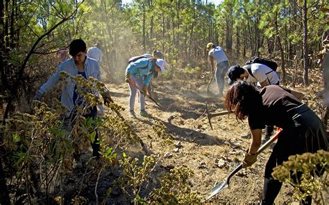 Restaurar Y Educar Para Conservar Ecosistemas Cruce