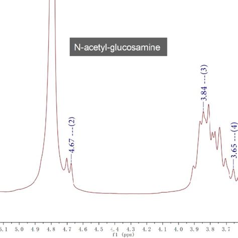 H Nmr Spectra Of N Acetyl D Glucosamine And Five Peaks Marked For