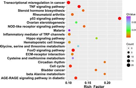 Scatter Plot Of Enriched Kegg Pathways Statistics Rich Factor Is The