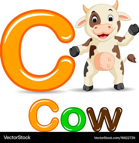 Animals Alphabet C Is For Cow Royalty Free Vector Image