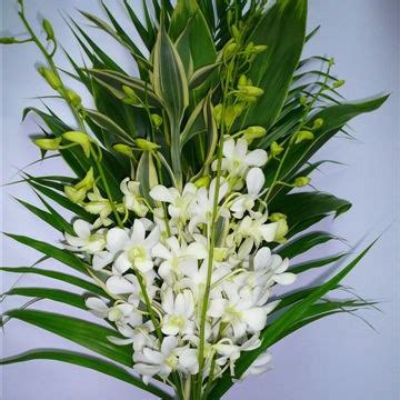 Premium Exotic Orchid Bouquets - Dendrobium. Bouquets and Templates ...