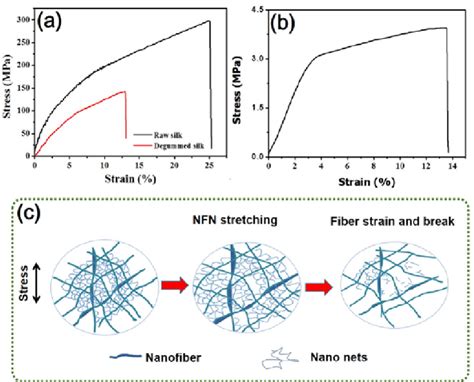 Stress Strain Curve For A Raw And Degummed Silk B Nfn Membranes Download Scientific