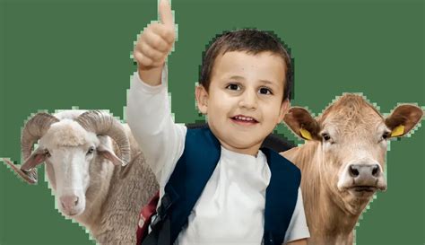 qurban  zakat house
