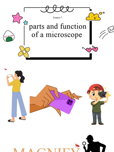 Parts and Function of Microscope | PDF | Glass Engineering And Science ...