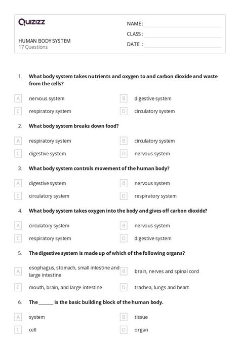 The Circulatory And Respiratory Systems Worksheets For Th