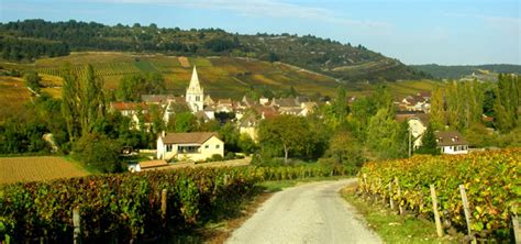 Burgundy Wine Tours From Paris Taste The Best Burgundy Wines