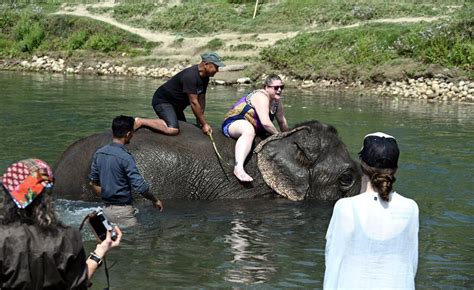 Nights Days Chitwan Jungle Safari Tour Nepal S Premier Wildlife