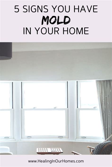 5 Signs You Have Mold In Your Home Healing In Our Homes