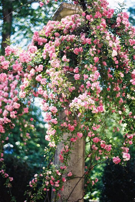 Romantic Atlanta Garden Wedding In Shades Of Sherbet