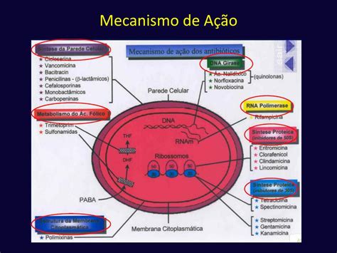 PPT Antimicrobianos Bases Teóricas e Uso Clínico PowerPoint