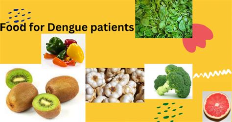 Top 15 Food For Dengue Patients List Of Foods To Avoid For Dengue Patients Perfect Latest