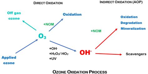 Ozone In Water Purification And Bromate Formation