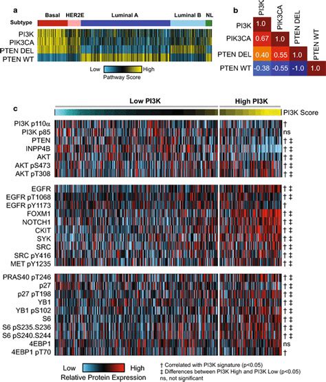 Pi K Gene Expression Signature Correlates With Protein Expression Of