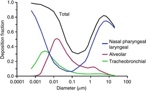 Total Particle Deposition In The Human Respiratory Tract And Download Scientific Diagram