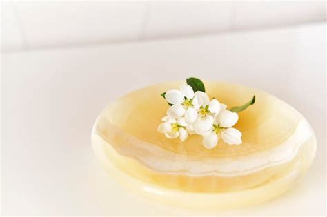 Una Hermosa Ramita De Rbol De Manzana Con Flores Blancas En Una Placa