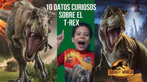 Datos Curiosos Del T Rex Youtube