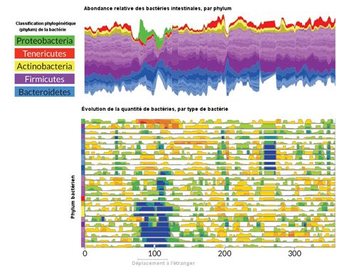 Data Un An D Volution Du Microbiote En Une Infographie Sciences Et