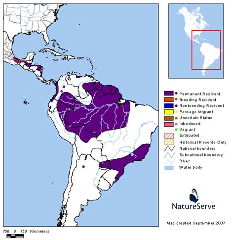 Harpy Eagle Range Map